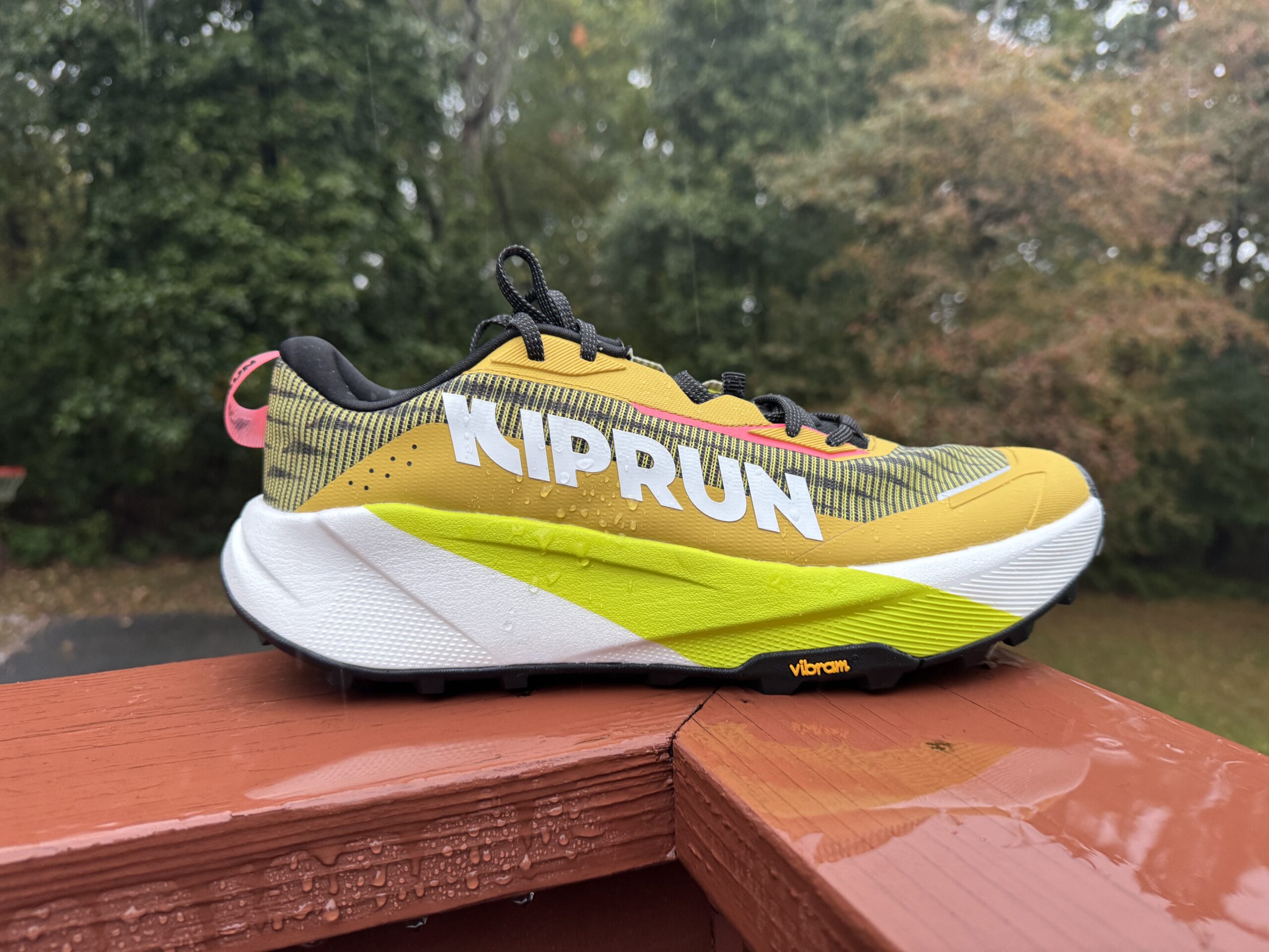 My Sunday Shoe 5: The Kiprun KipSummit Max